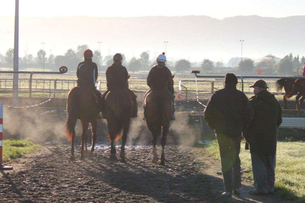 Te Akau Friday Trackwork
