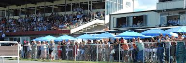 Te Akau Saturday Preview