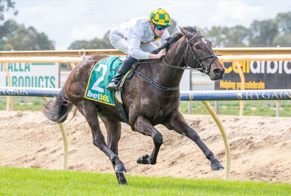 Eze-y Winner on Debut