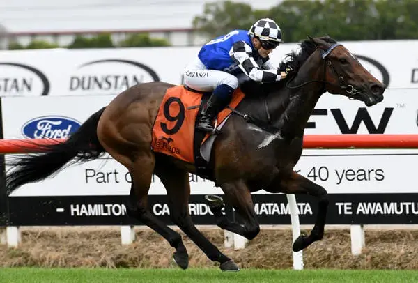 Te Akau's David Ellis Buys Wolverine