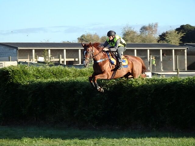 Te Akau Riccarton Preview
