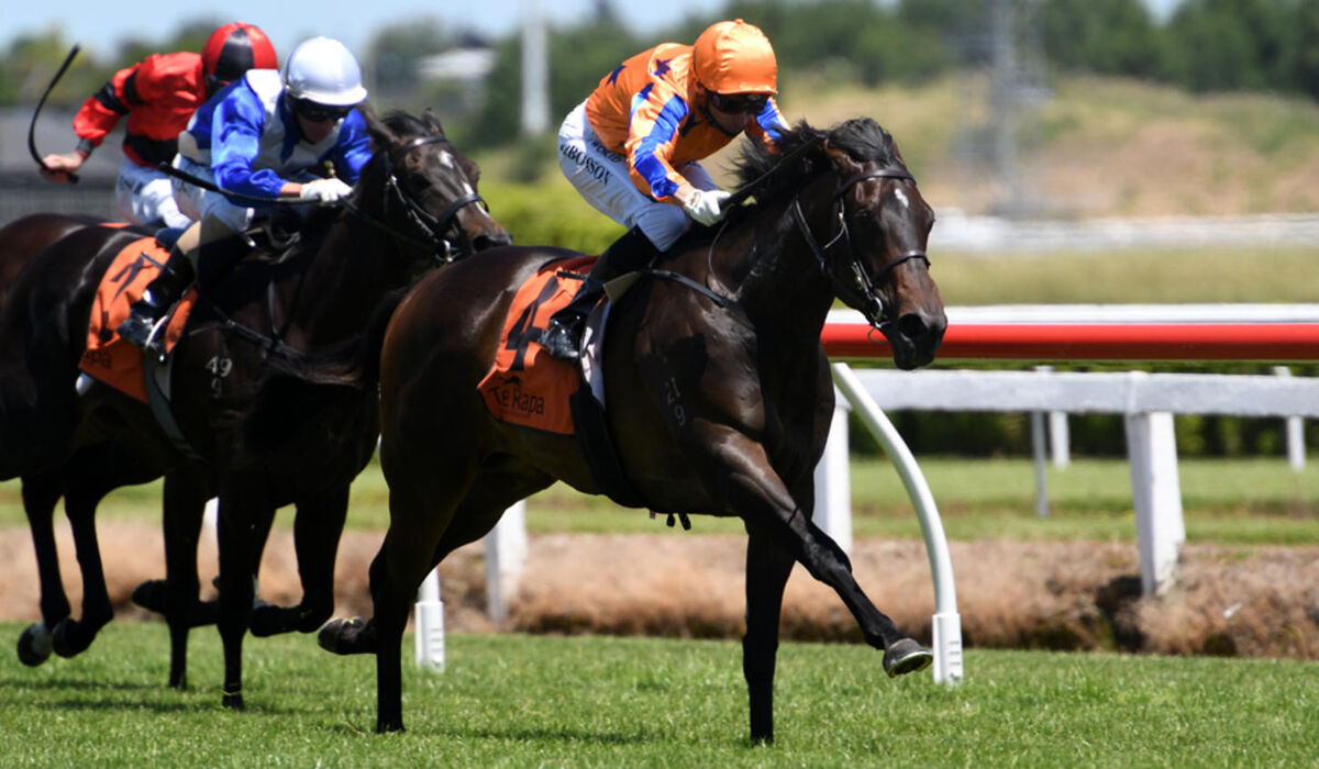 Bright Blue Sky - Stakes' Win on Debut