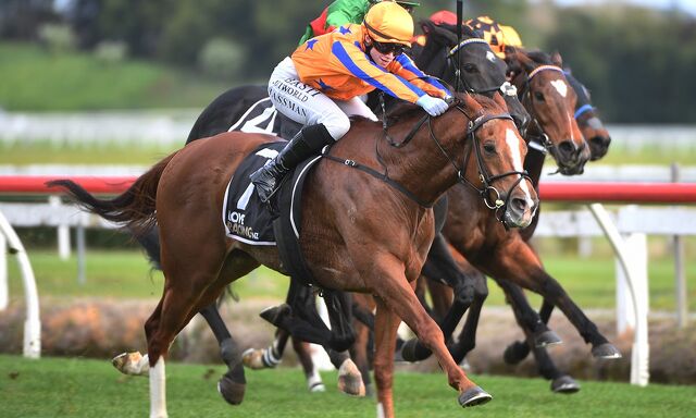 WINNER: Bright Stripes Perfect NZ Debut
