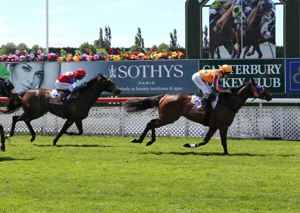 Te Akau Saturday Success - Part 1