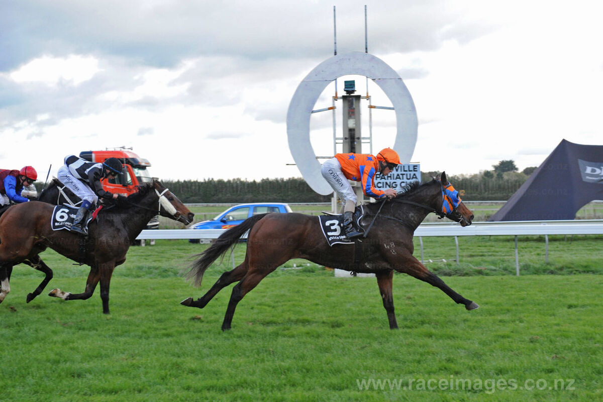 Woodville Double