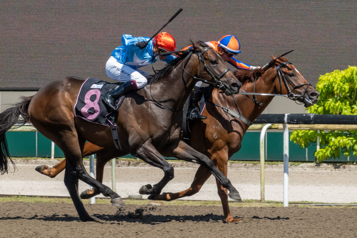 Te Akau Singapore Winning Sunday Double