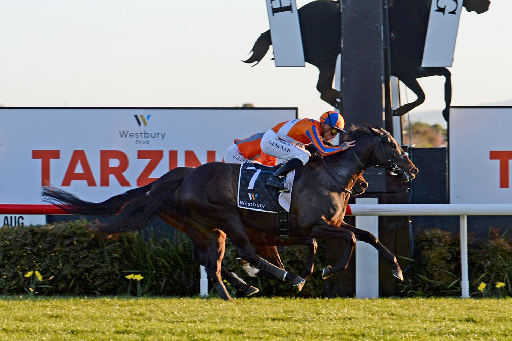 Winning Saturday Double