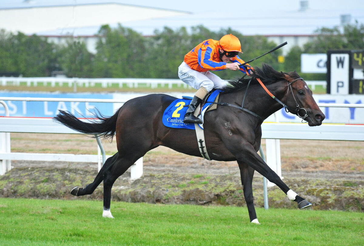 Te Akau Monday Update