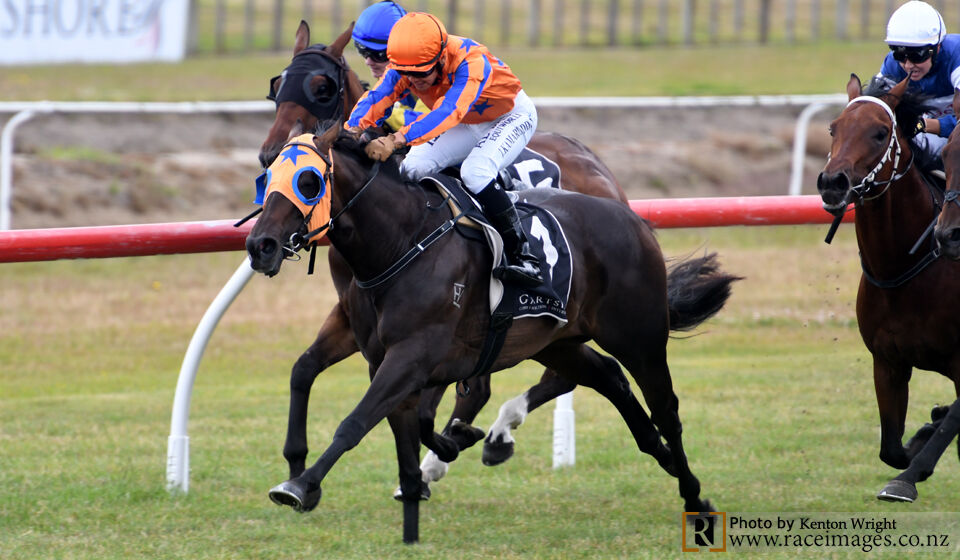 Te Akau Ellerslie Saturday Preview