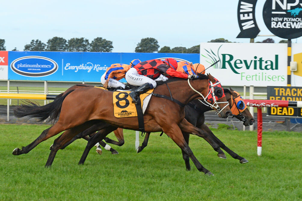 Te Akau Taranaki Friday Preview