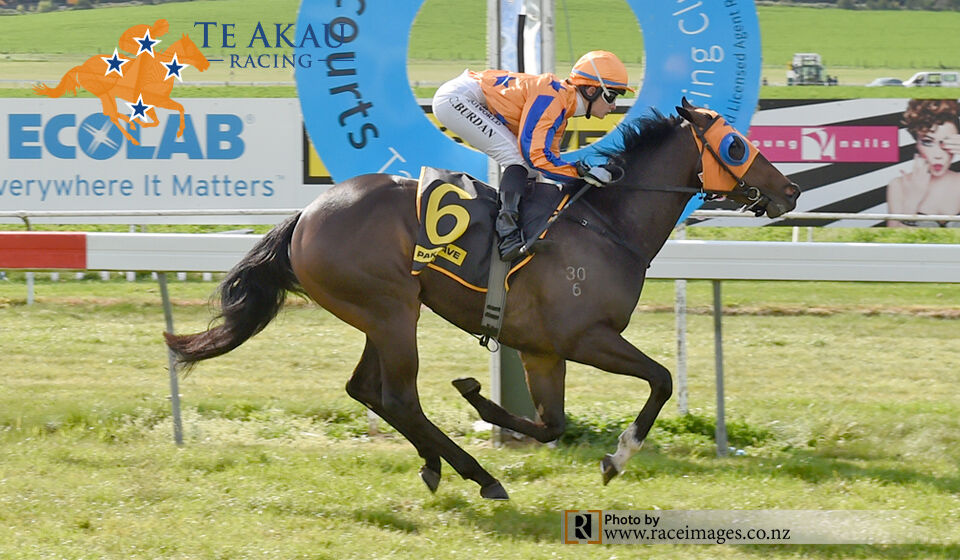 Te Akau Treble - No.3 Burgundy Rose