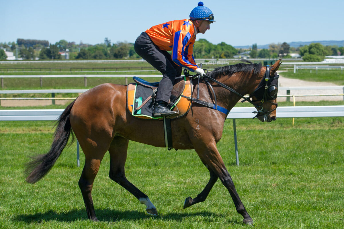 Te Akau Waipa Trials' Update