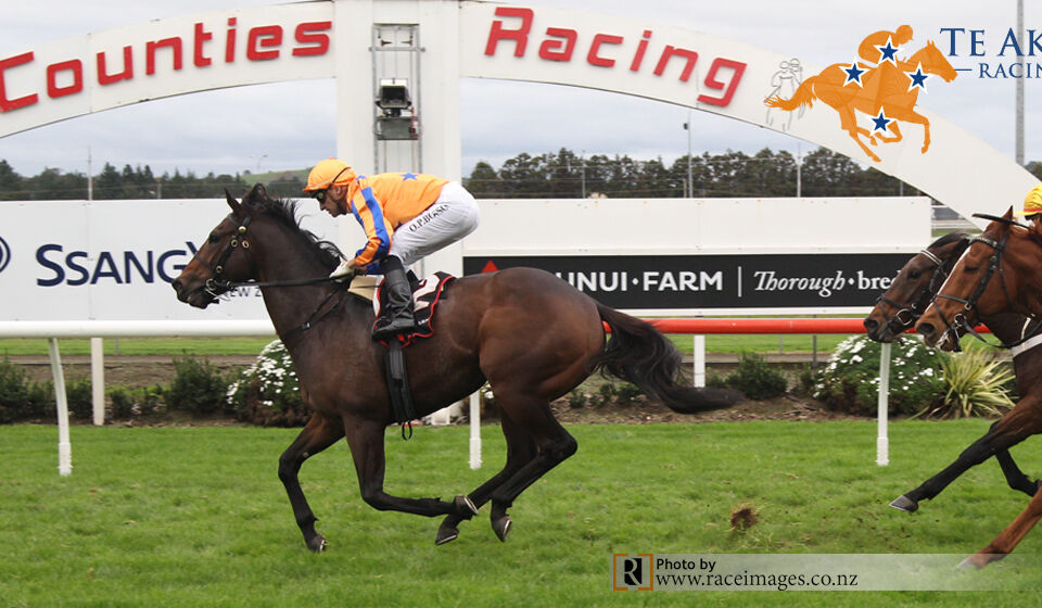 Te Akau Counties' Thursday Preview