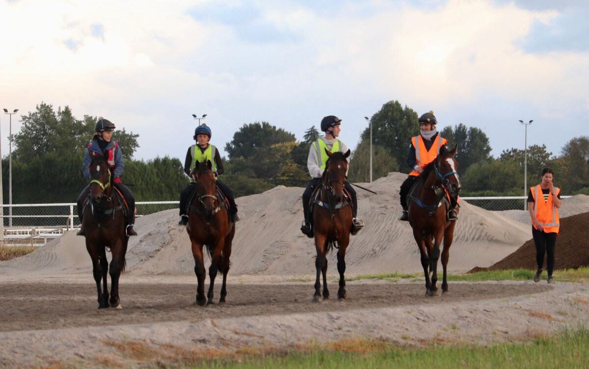 Te Akau Thursday Trackwork