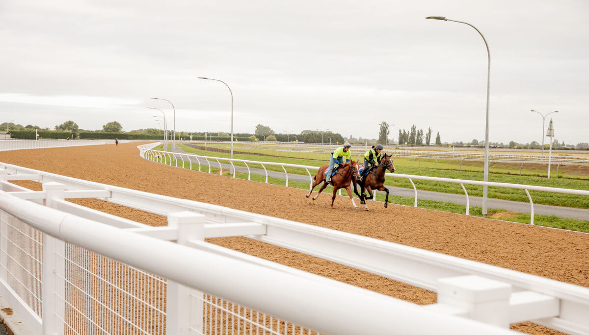 Te Akau Cambridge Midweek Preview