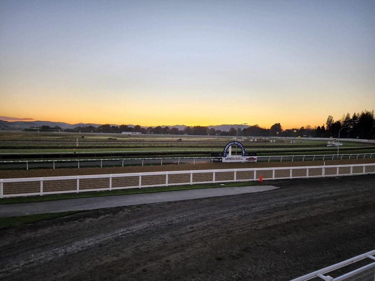 Te Akau Cambridge Midweek Preview