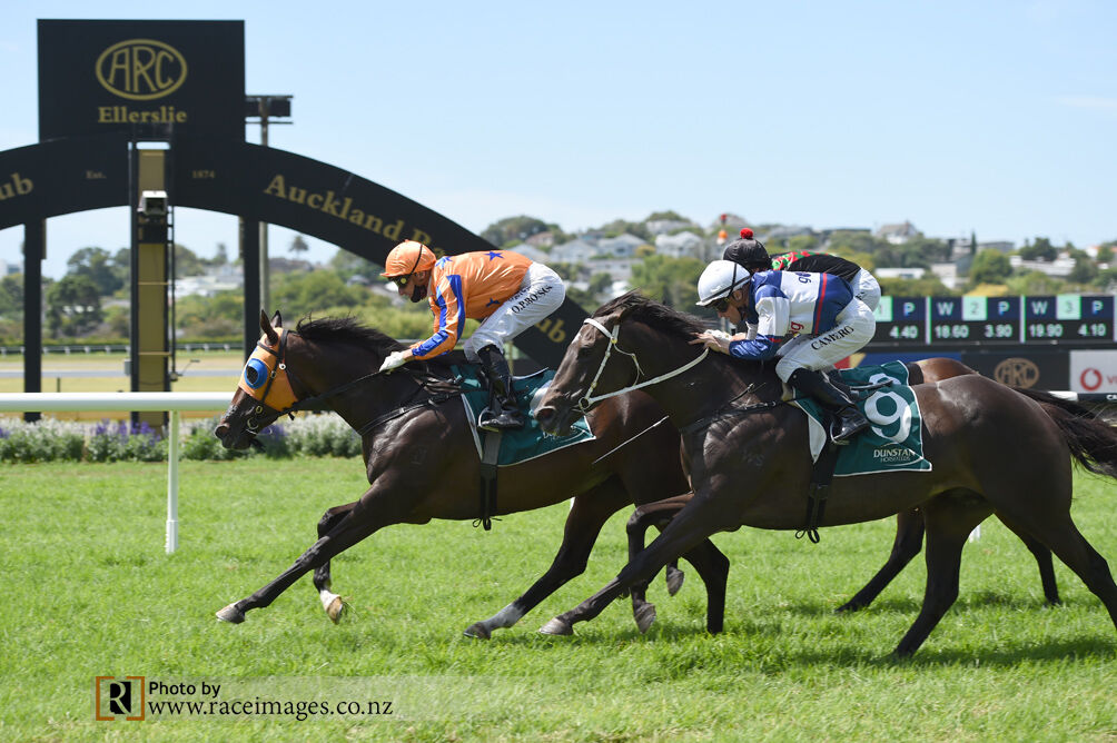 Campionessa Cruises Home