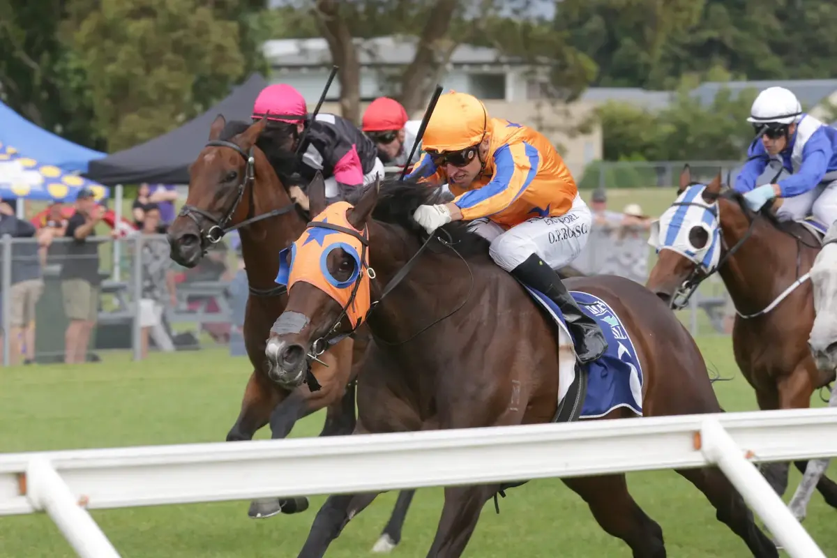 Broodmare Investment Paying Off