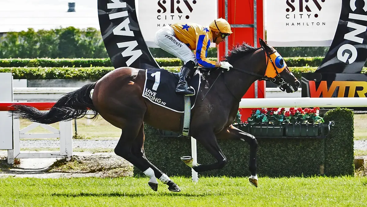 Busy Xmas Ahead for Te Akau