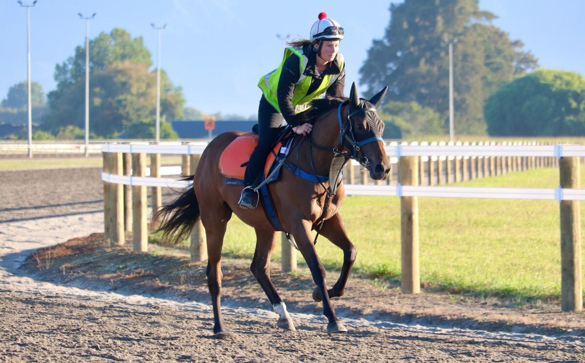 Te Akau Weekend Trackwork