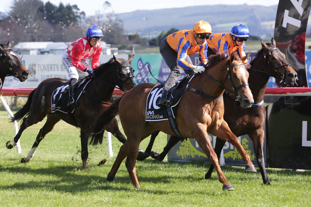 Taupo Group Trials' Report