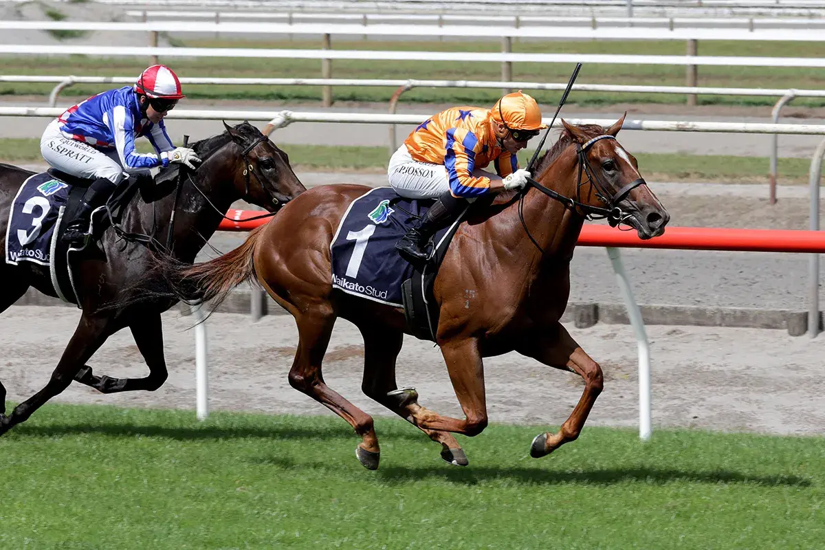 Unbeaten Captured by Love Group 2 Glory Again