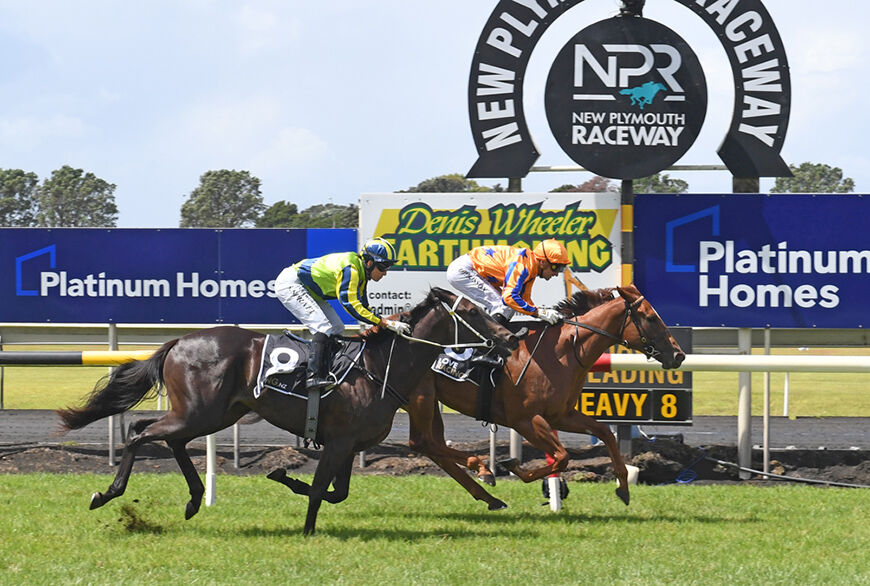 Te Akau Season - Stakes' Win 22 (NZ) of 30