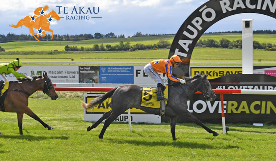 Te Akau Taupo Treble - Bella Caravella