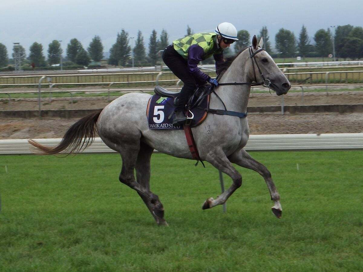 Courageous Win by Carmenize