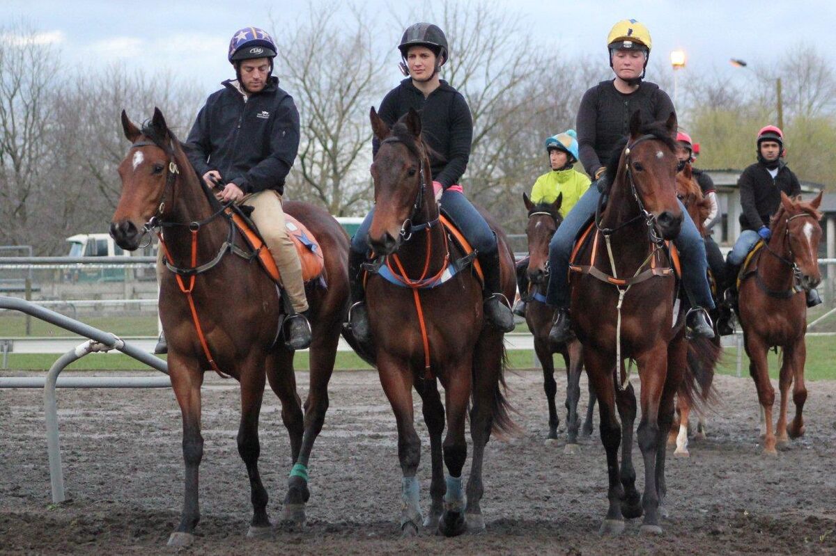 Te Akau Tuesday Trackwork