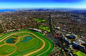 Caulfield Saturday Spotlight