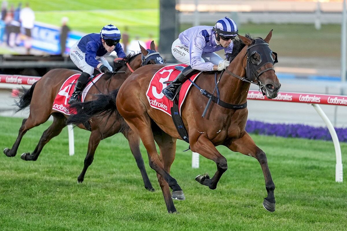 WINNER: Celestra Cruises Home