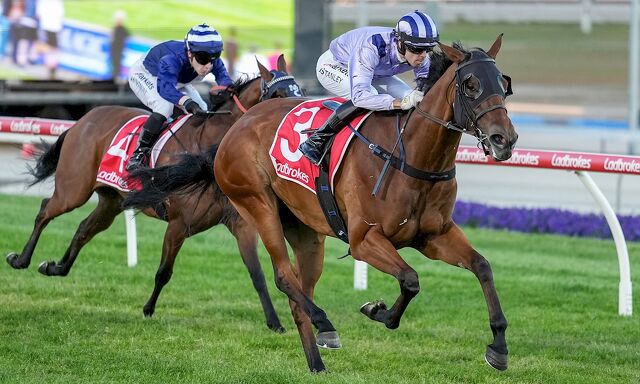 WINNER: Celestra Cruises Home