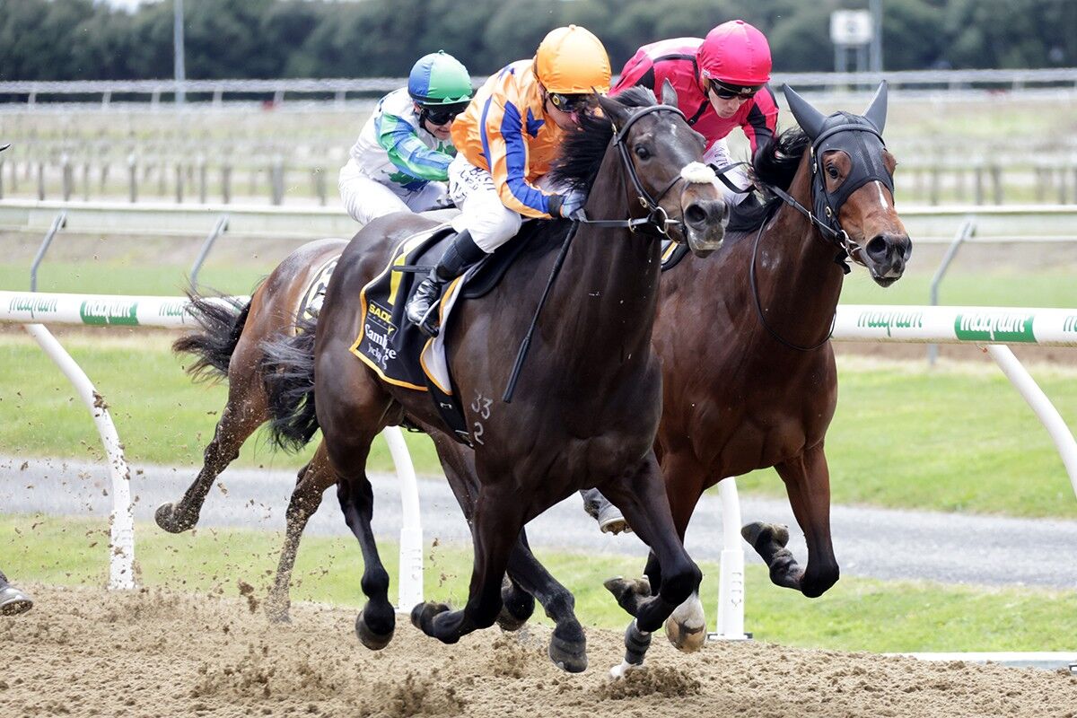 WINNER: Cool, Calm, Collected Centurial