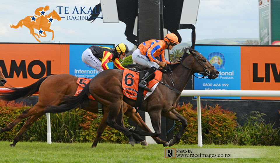 Te Akau TV - Weekend Preview