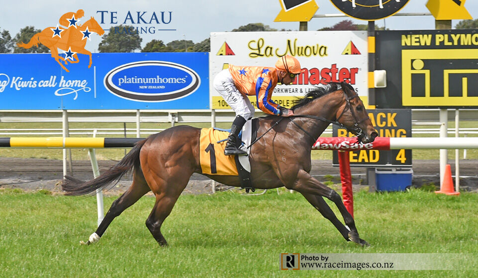 Te Akau Taranaki Friday Preview