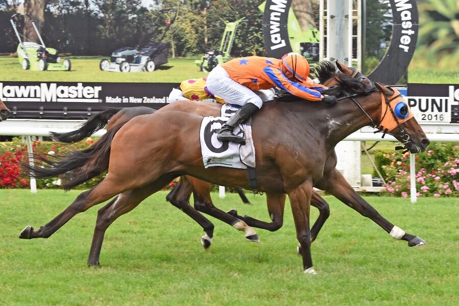 Chambord Looks for Repeat Result