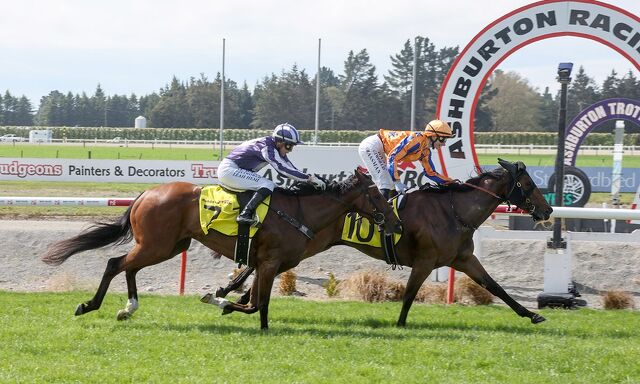 6 WINS - 24 HOURS: Southern Rose Blooms