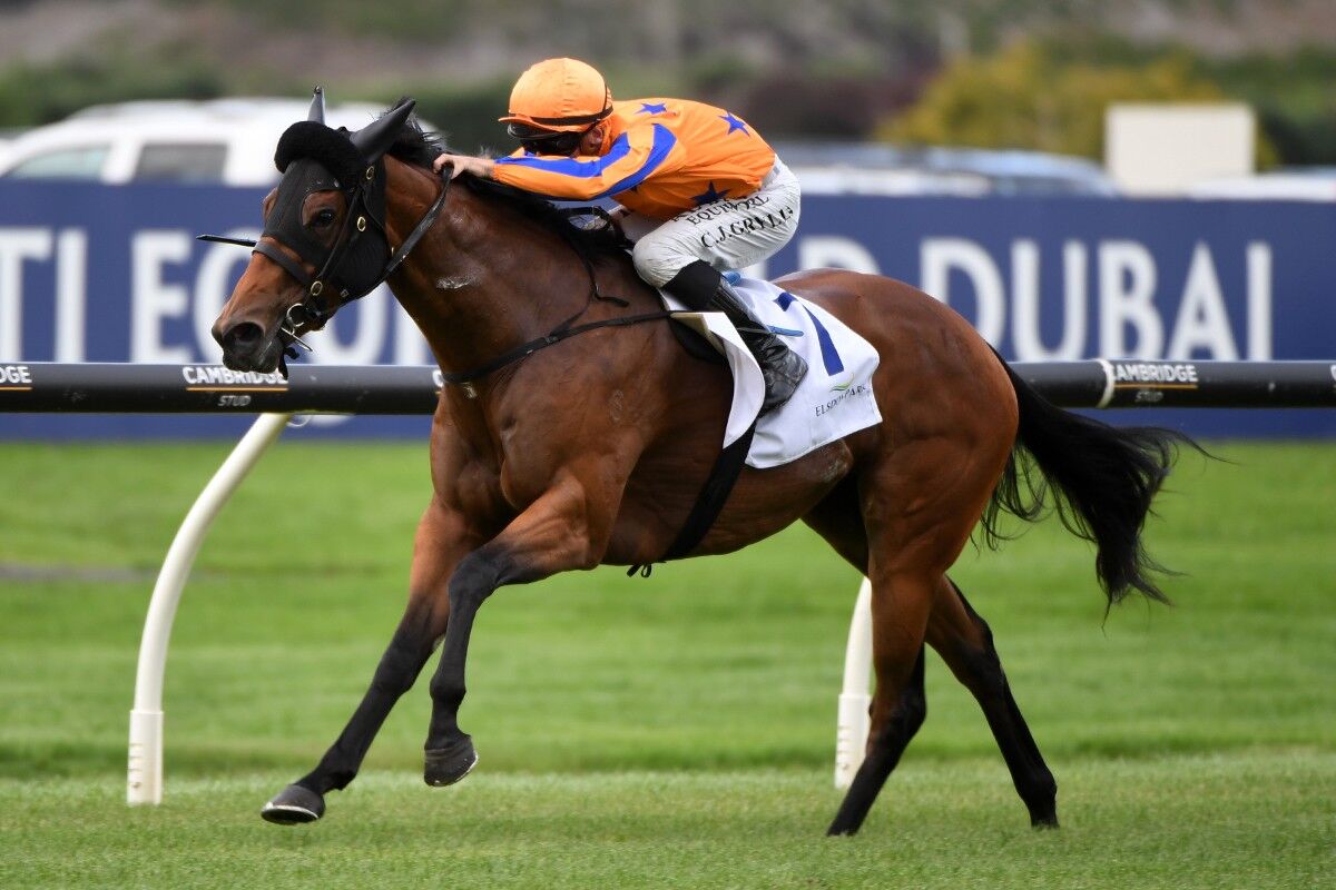 Winner: Charmrose Wins Again