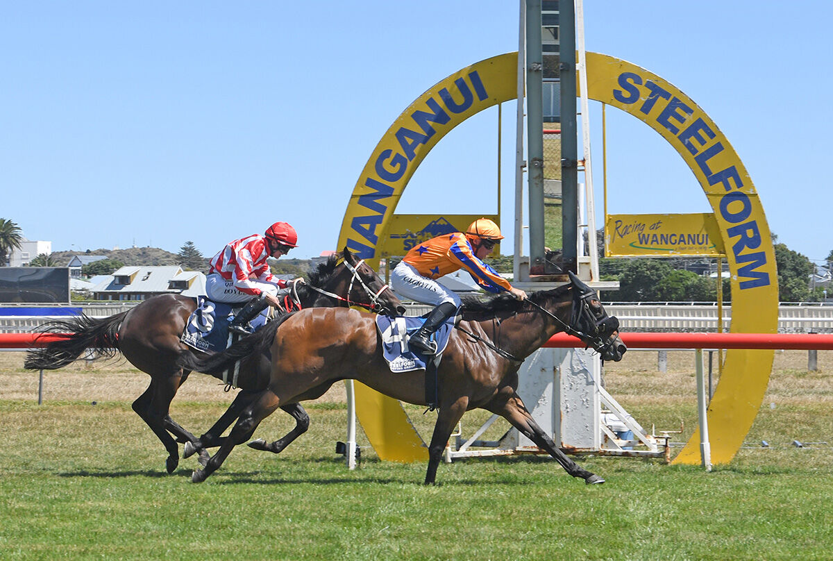 Te Akau Wanganui Sunday Preview