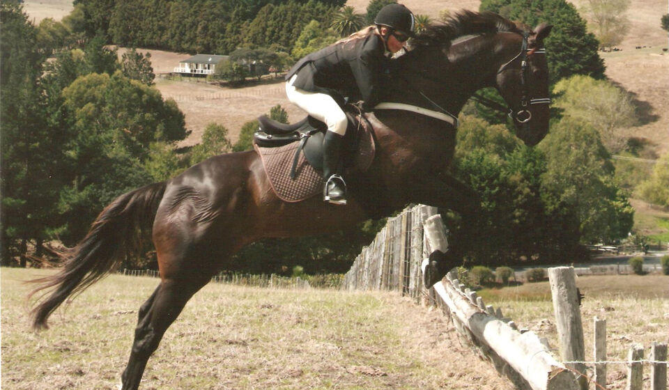 Special Retired Racehorse