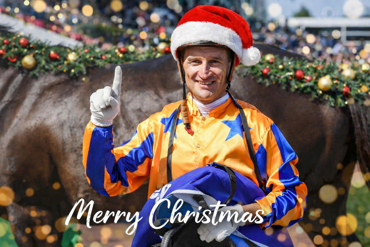Merry Christmas From Te Akau