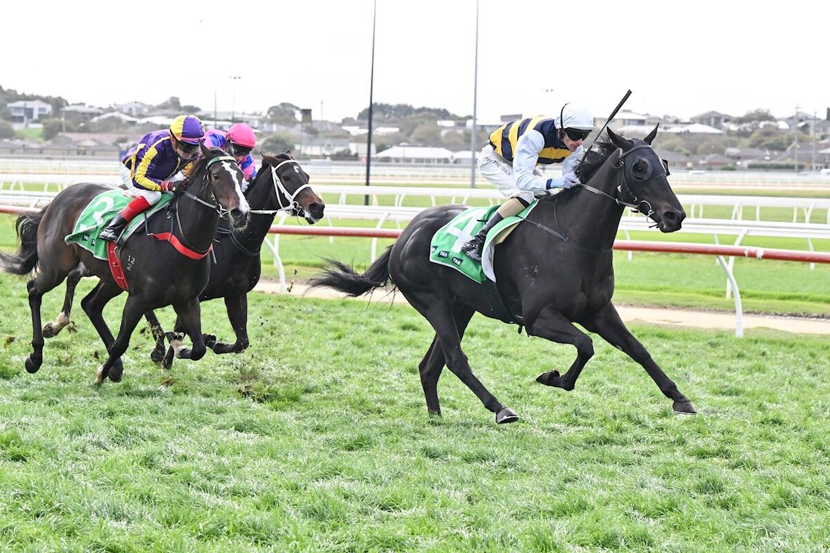 Winner: Cinturato Boom at the Bool