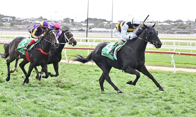 Te Akau Sandown Midweek Preview