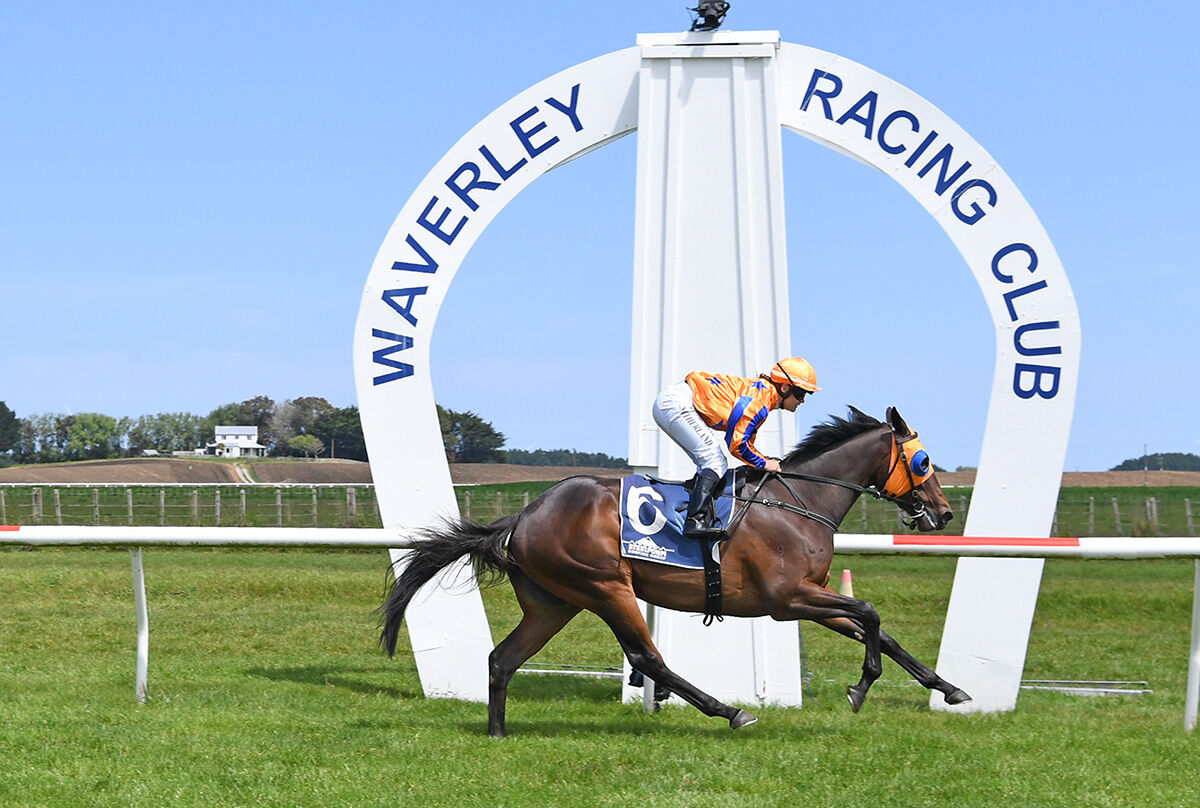 Te Akau Waverley Friday Preview