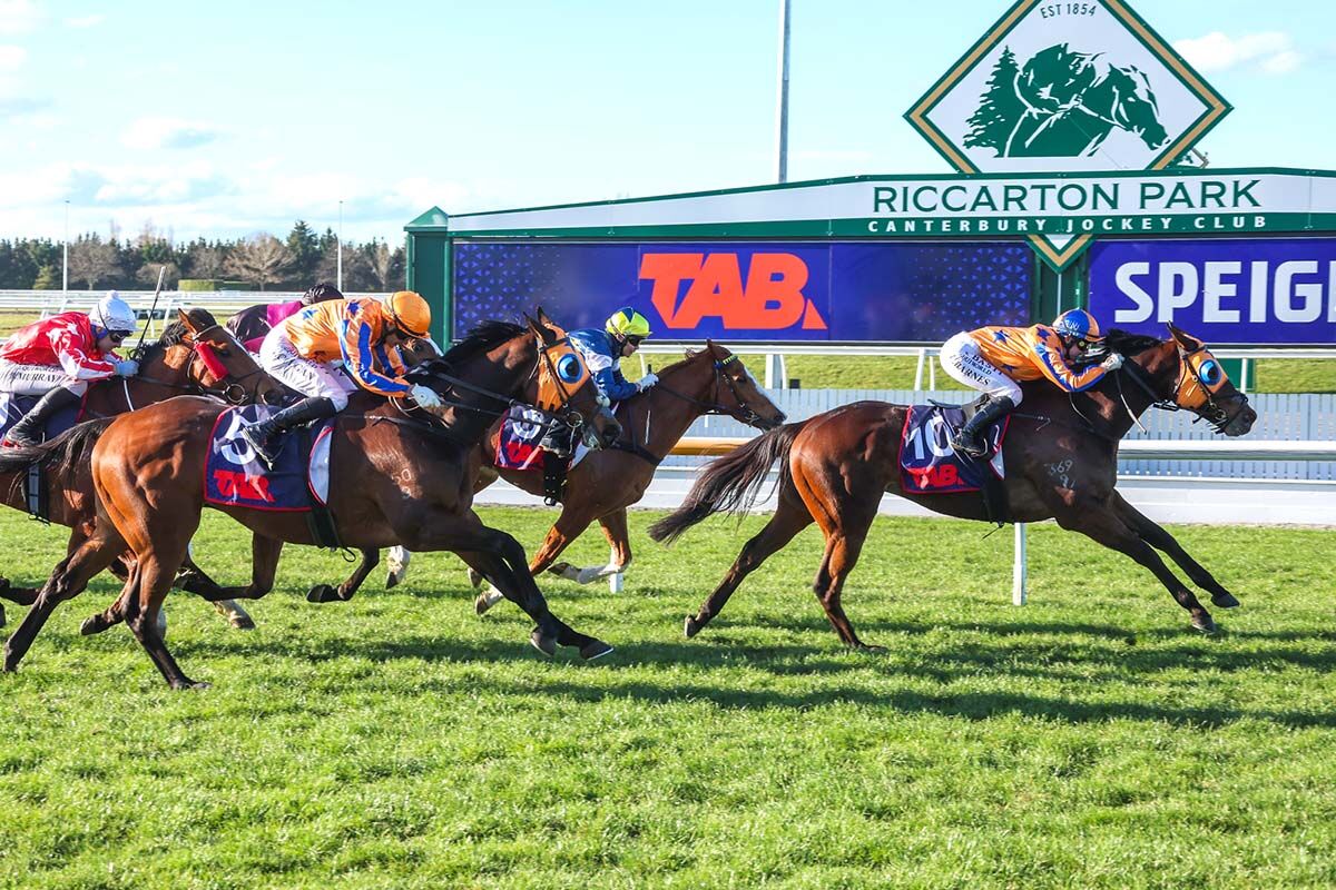 Riccarton Double - Courageous Cognito