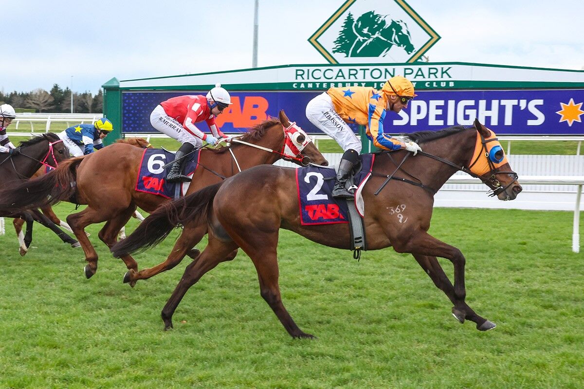3 Win Saturday - Cognito Cruises Home