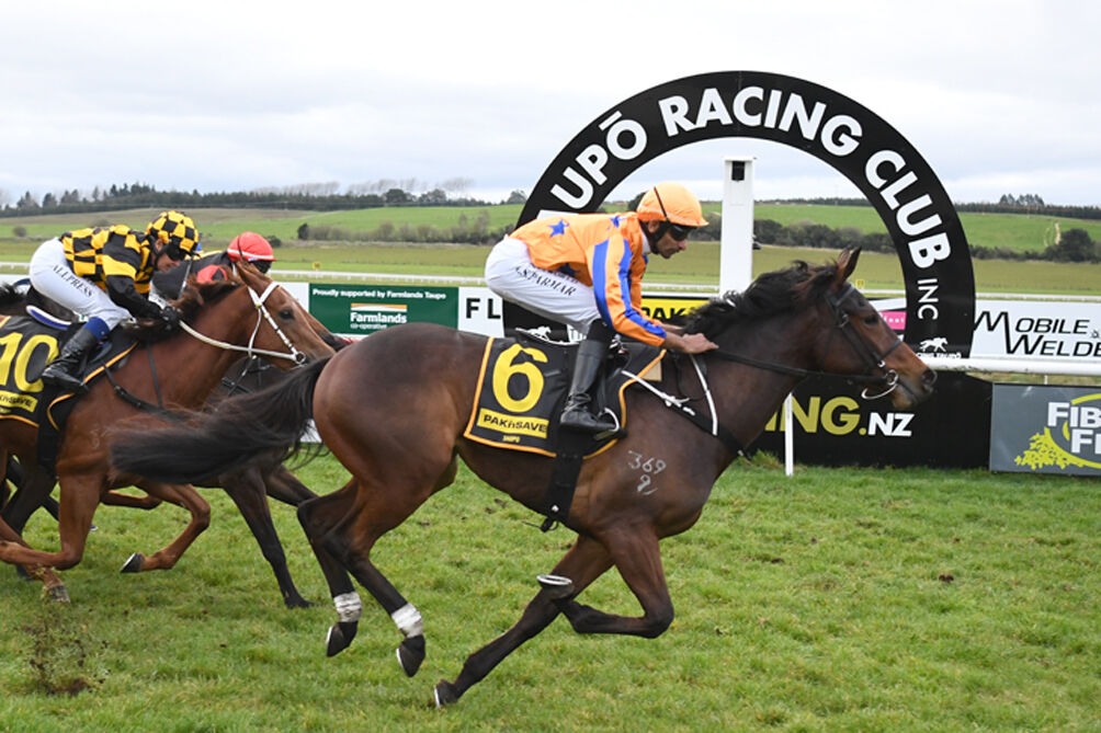 Six Win Taupo - Win 6 Cognito Sparkles on Debut