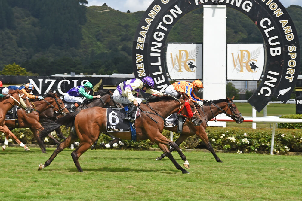Cognito - Group 2 Guineas' Glory