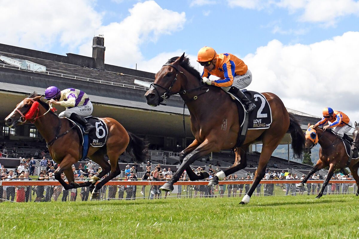 Te Akau Trans-Tasman Saturday Preview
